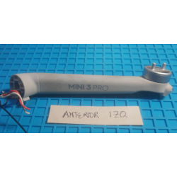 Brazo delantero izquierdo...